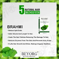 Brahmi Powder Organic For Hair Growth, Control Hair Fall, Natural Hair Shampoo - 100g each Pack of 2-thumb3