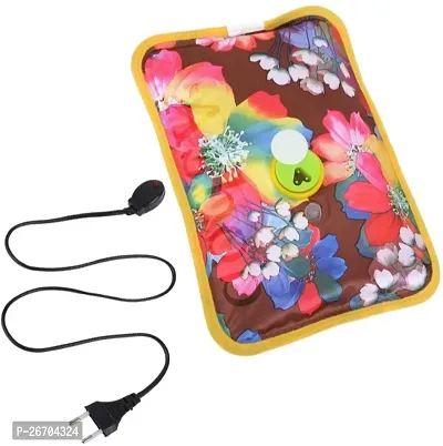 Beautiful Electric Hot Water Bag-thumb0