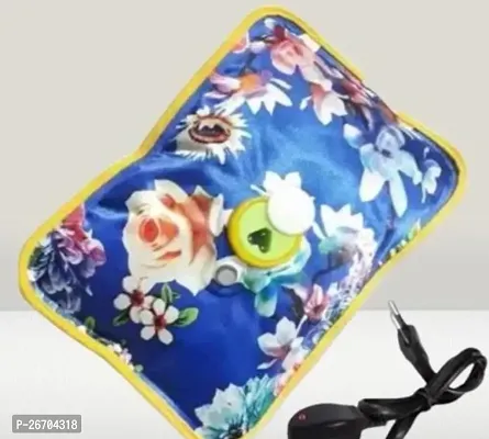 Beautiful Electric Hot Water Bag-thumb0