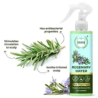 AESGOP Rosemary Water For Hair Growth, Hair Spray for Regrowth, Rosemary Hair Mist 100 ML-thumb4