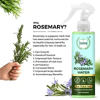 Aesgop Rosemary Water Hair Spray for Thick Hair 100 Ml-thumb2