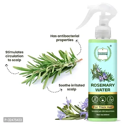 Aes Gop  Rosemary Water for Hair Growth ( 100 Ml )-thumb4