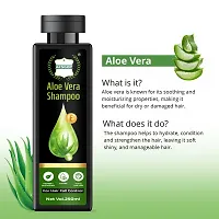 Aes Gop  Aloe vera Shampoo For Smooth  Shiny Hair Anti-Hairfall Women and Men for Shiny Hair ( 250 ML )-thumb4