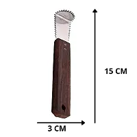 Qts Coconut Grater Steel, Scrapper Wood Hand Kitchen Tool, Silver and Brown-thumb2