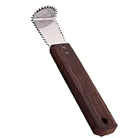 Qts Coconut Grater Steel, Scrapper Wood Hand Kitchen Tool, Silver and Brown-thumb1