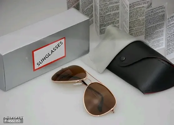 Metal Aviator Sunglasses With Leather Case