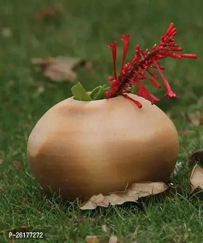 KALAPURI? Natural Colored Made of Teracotta Clay Handicrafts ShowPiece Terracotta Vase-thumb0