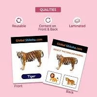 LKG Fun-Filled Activity Based Glossy 600+ Flashcards-thumb1