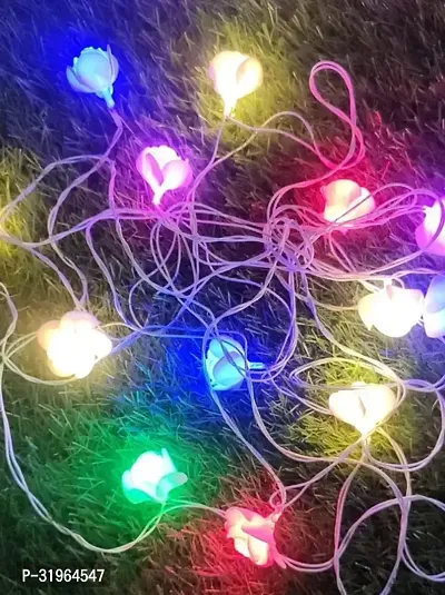 Lights for Diwali Decoration