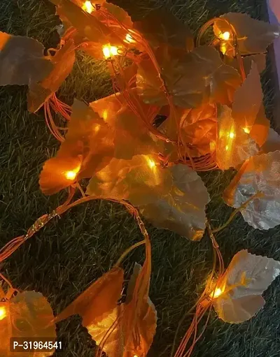 Lights for Diwali Decoration