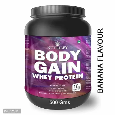 Nutriley Body Gain Premium, Whey Protein, Powder 500 gm Weight Gainer, With Banana Flavour, For Mass Gain  Muscle Gain