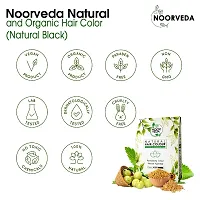 Noorveda Black Natural Hair Colour, Made of 100% Organic Herbs For Hair Care  Conditioning - 100 Gms (25 G x 4 Sachets)-thumb1