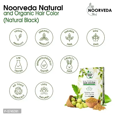 Noorveda Black Natural Hair Colour, Made of 100% Organic Herbs For Hair Care  Conditioning - 100 Gms (25 G x 4 Sachets)-thumb2