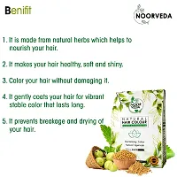 Noorveda Black Natural Hair Colour, Made of 100% Organic Herbs For Hair Care  Conditioning - 100 Gms (25 G x 4 Sachets)-thumb2