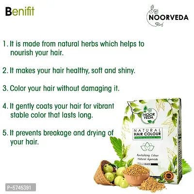 Noorveda Black Natural Hair Colour, Made of 100% Organic Herbs For Hair Care  Conditioning - 100 Gms (25 G x 4 Sachets)-thumb3