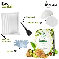 Noorveda Black Natural Hair Colour, Made of 100% Organic Herbs For Hair Care  Conditioning - 100 Gms (25 G x 4 Sachets)-thumb3