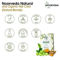 Noorveda Blonde Natural Hair Colour, Made of 100% Organic Herbs For Hair Care  Conditioning - 100 Gms (25 G x 4 Sachets)-thumb1