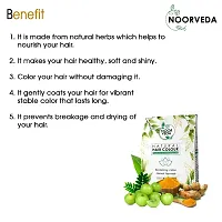 Noorveda Blonde Natural Hair Colour, Made of 100% Organic Herbs For Hair Care  Conditioning - 100 Gms (25 G x 4 Sachets)-thumb2