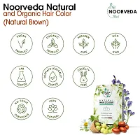 Noorveda Brown Natural Hair Colour, Made of 100% Organic Herbs For Hair Care  Conditioning - 100 Gms (25 G x 4 Sachets)-thumb1