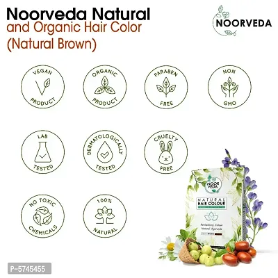 Noorveda Brown Natural Hair Colour, Made of 100% Organic Herbs For Hair Care  Conditioning - 100 Gms (25 G x 4 Sachets)-thumb2