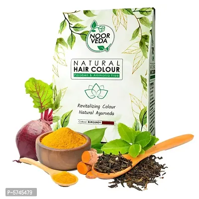 Noorveda Burgundy Natural Hair Colour, Made of 100% Organic Herbs For Hair Care  Conditioning - 100 Gms (25 G x 4 Sachets)