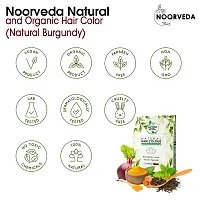 Noorveda Burgundy Natural Hair Colour, Made of 100% Organic Herbs For Hair Care  Conditioning - 100 Gms (25 G x 4 Sachets)-thumb1