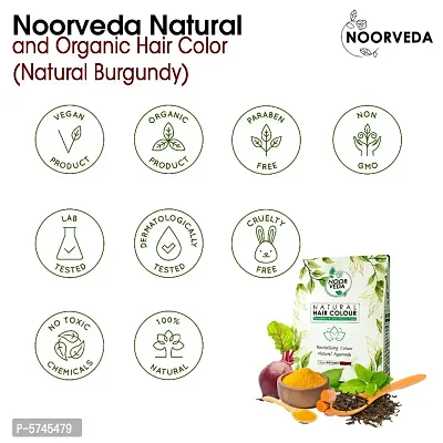 Noorveda Burgundy Natural Hair Colour, Made of 100% Organic Herbs For Hair Care  Conditioning - 100 Gms (25 G x 4 Sachets)-thumb2