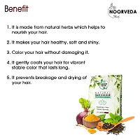 Noorveda Burgundy Natural Hair Colour, Made of 100% Organic Herbs For Hair Care  Conditioning - 100 Gms (25 G x 4 Sachets)-thumb2