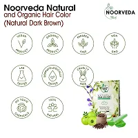 Noorveda Dark Brown Natural Hair Colour, Made of 100% Organic Herbs For Hair Care  Conditioning - 100 Gms (25 G x 4 Sachets)-thumb1