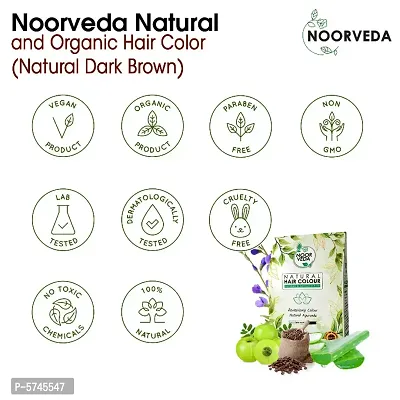 Noorveda Dark Brown Natural Hair Colour, Made of 100% Organic Herbs For Hair Care  Conditioning - 100 Gms (25 G x 4 Sachets)-thumb2