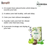 Noorveda Dark Brown Natural Hair Colour, Made of 100% Organic Herbs For Hair Care  Conditioning - 100 Gms (25 G x 4 Sachets)-thumb2