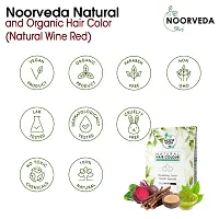 Noorveda Wine Red Natural Hair Colour, Made of 100% Organic Herbs For Hair Care  Conditioning - 100 Gms (25 G x 4 Sachets)-thumb1