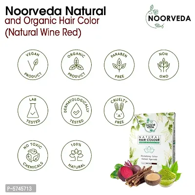 Noorveda Wine Red Natural Hair Colour, Made of 100% Organic Herbs For Hair Care  Conditioning - 100 Gms (25 G x 4 Sachets)-thumb2