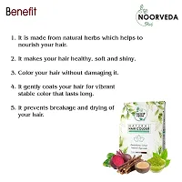 Noorveda Wine Red Natural Hair Colour, Made of 100% Organic Herbs For Hair Care  Conditioning - 100 Gms (25 G x 4 Sachets)-thumb2