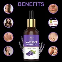 Intimify Best lavender hair oil, Best lavender hair oil for All hair  Skin type make hair thick  healthy 30ml Pack of 2.-thumb1