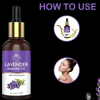 Intimify Best lavender hair oil, Best lavender hair oil for All hair  Skin type make hair thick  healthy 30ml Pack of 2.-thumb3