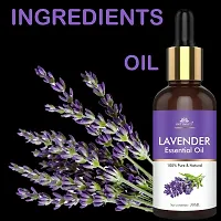 Intimify Best lavender hair oil, Best lavender hair oil for All hair  Skin type make hair thick  healthy 30ml Pack of 2.-thumb2