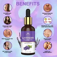 Intimify Lavender oil for hair, Skin Oil for healthy hair scalp and smooth skin 100% Natural in 30ml Pack of 1-thumb1