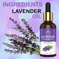 Intimify Lavender oil for hair, Skin Oil for healthy hair scalp and smooth skin 100% Natural in 30ml Pack of 1-thumb3