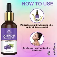 Intimify Best lavender hair oil,Natural lavender hair oil for All hair  Skin type make hair thick  healthy 30ml Pack of 2-thumb1