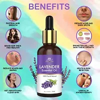 Intimify Lavender Essential Oil for Healthy Hair, Skin, Sleep 100% Pure, Natural and Undiluted 30ml Pack of 3-thumb2