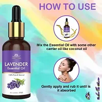 Intimify Lavender Essential Oil for Healthy Hair, Skin, Sleep 100% Pure, Natural and Undiluted 30ml Pack of 3-thumb1