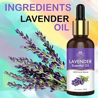 Intimify Lavender Essential Oil for Healthy Hair, Skin, Sleep 100% Pure, Natural and Undiluted 30ml Pack of 3-thumb3