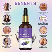 Intimify Lavender oil for hair, Hair growth oil,Skin fairness oil, Essential oil 30ml (Pack of 1)-thumb1