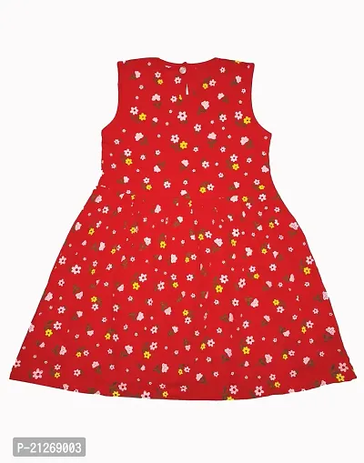 Infant Baby Girls Cotton Sleeveless Aline Frock-thumb2