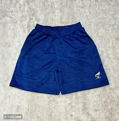 Body Concept Blue Grindle Dryfit Polyester Shorts