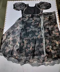 Black Color Organza Gowns-thumb1