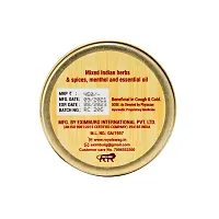 Herbal Nasal Snuff Tobacco Free nicotine And Tobacco Free Mint Snuff 30gm-thumb2