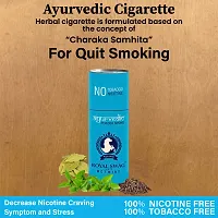 Herbal Ayurvedic And Herbal Cigarette Mint Flavor Smoke Tobacco Free Cigarette With Shot 15 Sticks Shot 1-thumb2