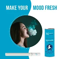 Herbal Cigarette Tobacco And Nicotine Free Regular Mint Flavor 10 Sticks Each-thumb3